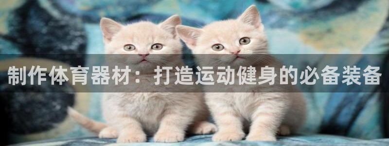星欧娱乐扣款流程详解图高清：制作体育器材：打造运动健