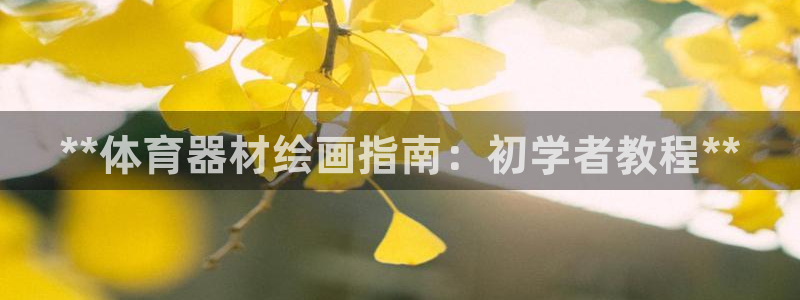 星欧娱乐的创始人背景故事介绍：**体育器材绘画指南：