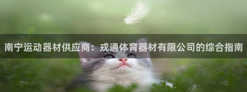 星欧娱乐下载最新版本更新内容：南宁运动器材供应商：戎