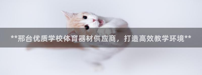 星欧娱乐官网：**邢台优质学校体育器材供应商，打造高