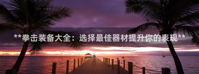 星欧娱乐的创始人背景故事：**拳击装备大全：选择最佳