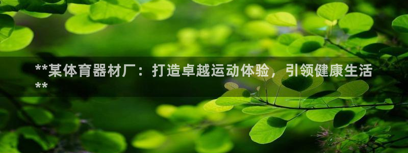 星欧娱乐彩票软件下载官网：**某体育器材厂：打造卓越