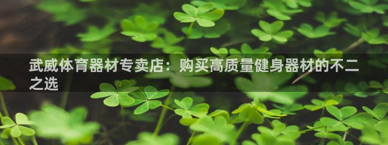 星欧娱乐挂机教程下载：武威体育器材专卖店：购买高质量