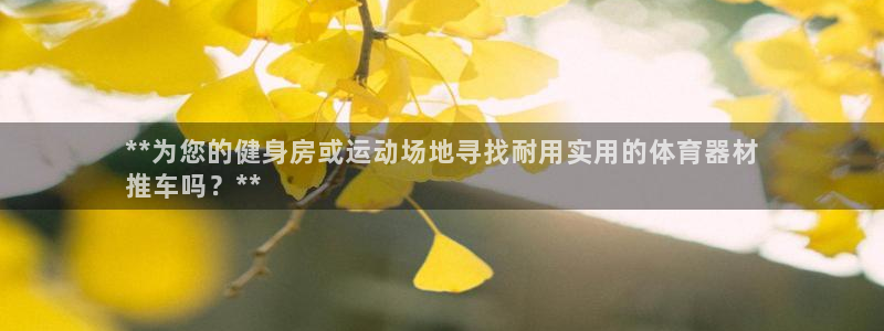 星欧娱乐app最新版本更新内容：**为您的健身房或运