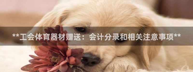 星欧娱乐扣款流程详解图：**工会体育器材赠送：会计分