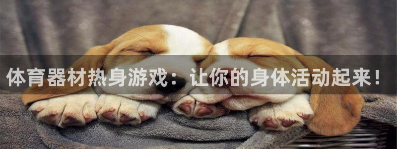 星奥娱乐待遇怎么样：体育器材热身游戏：让你的身体活动