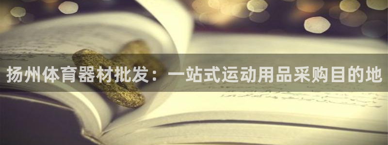 星欧娱乐联游戏评测：扬州体育器材批发：一站式运动用品