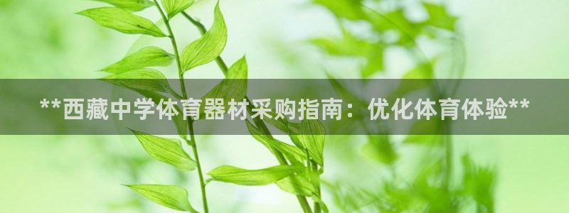 星欧娱乐的官方版本更新内容：**西藏中学体育器材采购