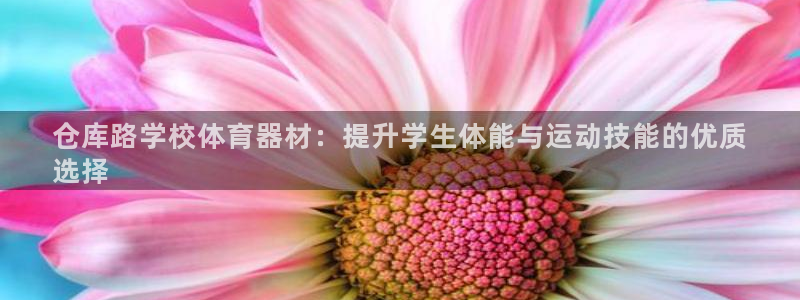 星娱乐online：仓库路学校体育器材：提升学生体能