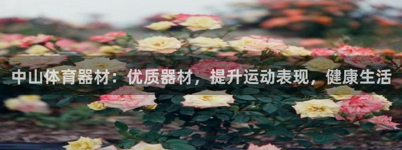 江苏星奥娱乐有限公司招聘：中山体育器材：优质器材，提