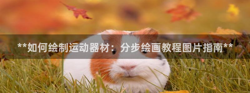 星欧娱乐最建议买的三个产品是什么呢：**如何绘制运动