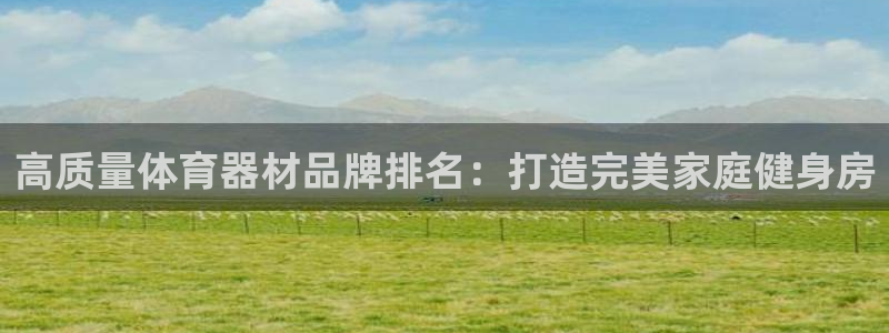 星欧娱乐最建议买的三个产品是什么意思：高质量体育器材