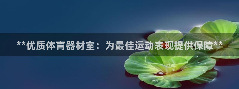 星娱乐文化传媒：**优质体育器材室：为最佳运动表现提