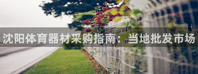 星欧娱乐挂机赚钱软件：沈阳体育器材采购指南：当地批发