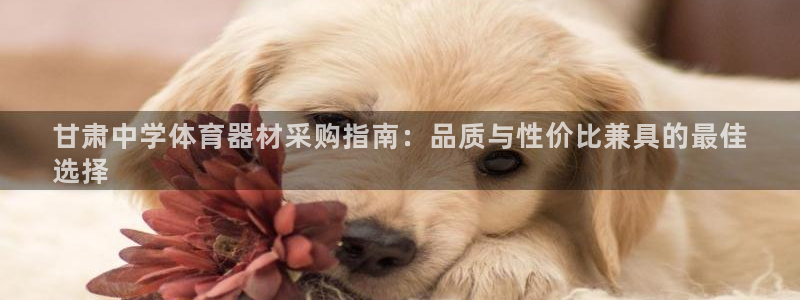 星奥娱乐集团股份有限公司：甘肃中学体育器材采购指南：