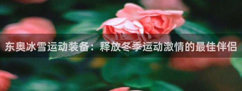 星娱乐online创作的原声胡歌吴磊：东奥冰雪运动装