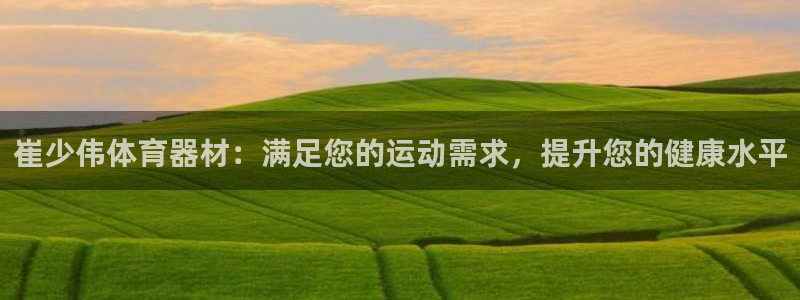 星欧娱乐总代.直开.中国：崔少伟体育器材：满足您的运