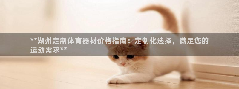 星欧娱乐扣款时间查询方法怎么查的：**湖州定制体育器