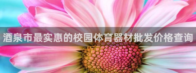 星欧娱乐挂机：酒泉市最实惠的校园体育器材批发价格查询