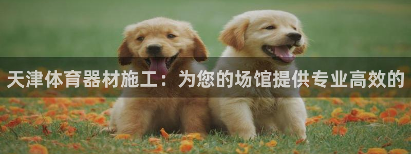星欧娱乐扣款时间查询方法怎么查的：天津体育器材施工：