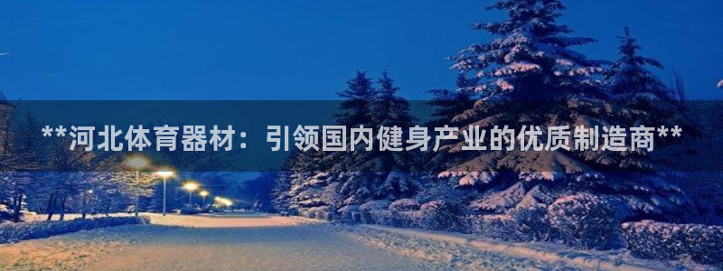 星欧娱乐平台告7O777：**河北体育器材：引领国内