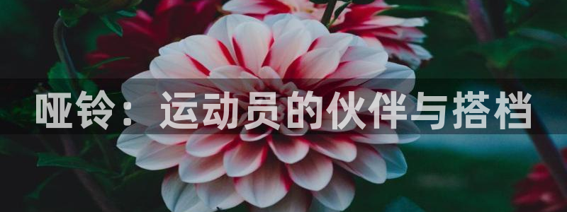 星欧娱乐伐711.112扣费的原因及处理措施