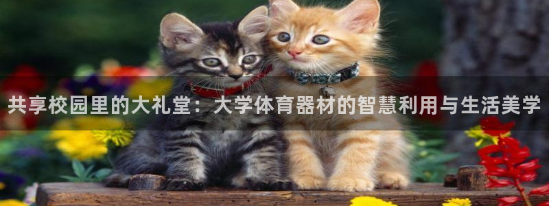 星欧娱乐平台怎么样可靠吗