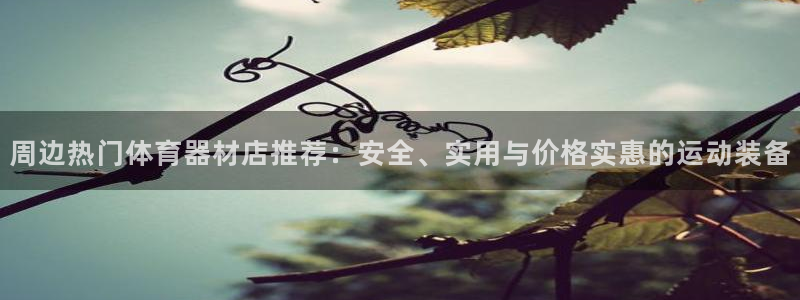 星欧娱乐扣款时间查询方法是什么意思