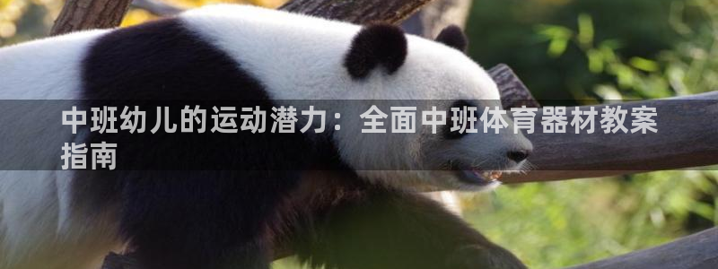 星欧娱乐是正规平台吗知乎：中班幼儿的运动潜力：全面中班体育器