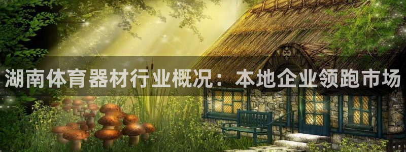 星欧娱乐扣款时间查询方法是什么呢：湖南体育器材行业概况：本地