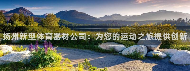 江苏星奥娱乐有限公司招聘：扬州新型体育器材公司：为您的运动之
