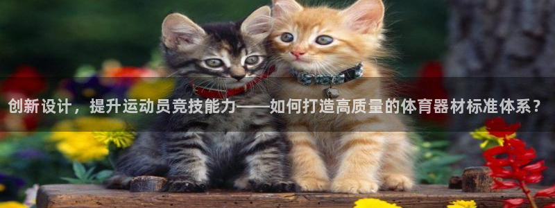 星欧娱乐挂机教程下载