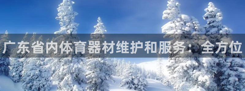 星欧娱乐的官方版本更新内容：广东省内体育器材维护和服务：全方 