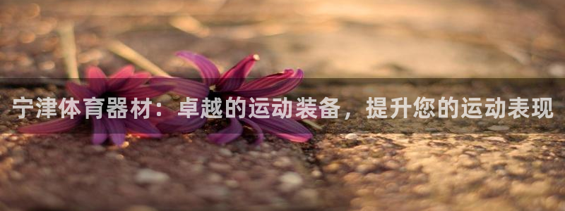 星奥娱乐怎么样知乎：宁津体育器材：卓越的运动装备，提升您的运