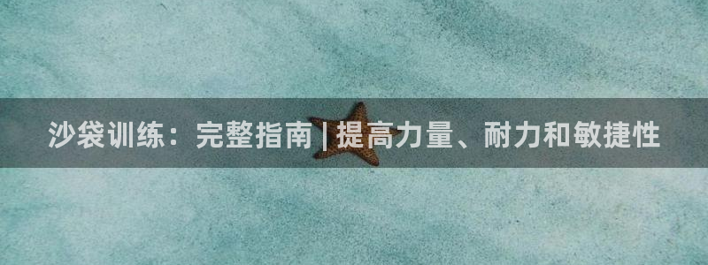 星娱乐online音乐：沙袋训练：完整指南 | 提高力量、耐