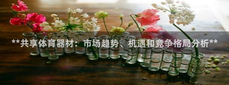 星欧娱乐官网：**共享体育器材：市场趋势、机遇和竞争