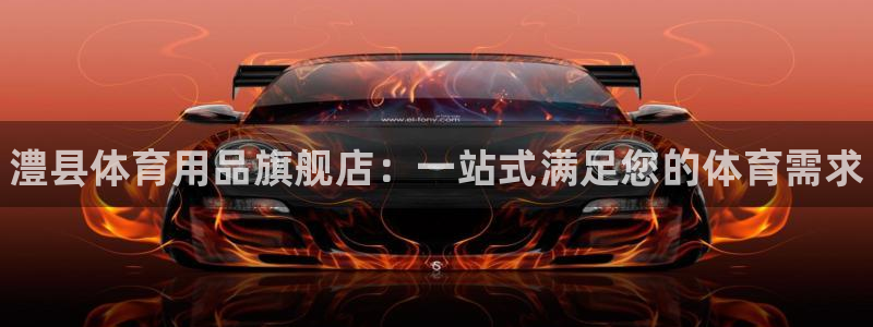 星奥娱乐集团股份有限公司官网：澧县体育用品旗舰店：一站式满足