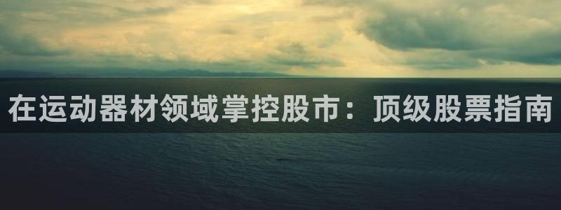 星欧娱乐公司电话号码：在运动器材领域掌控股市：顶级股