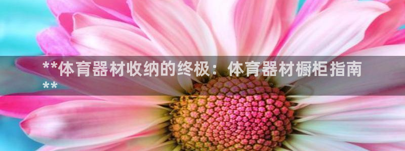 星欧娱乐会员优惠活动：**体育器材收纳的终极：体育器