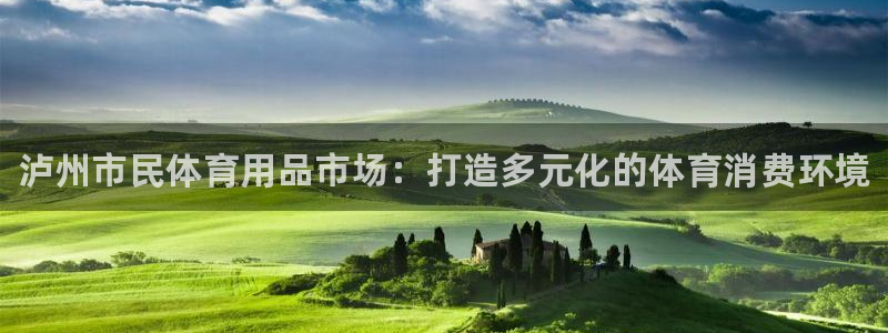 星欧娱乐公司电话号码：泸州市民体育用品市场：打造多元化的体育