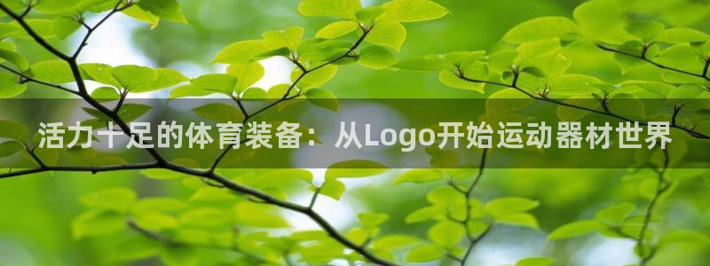 星欧娱乐平台都7O777：活力十足的体育装备：从Logo开始