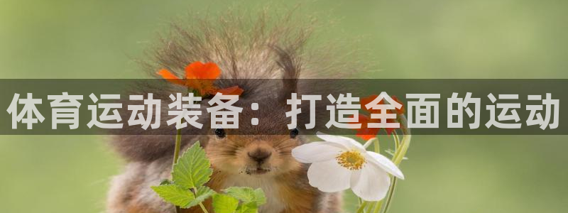 星欧娱乐v8.0.3最新版本更新内容介绍：体育运动装